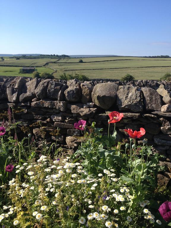 Curlew Barn Bed and Breakfast Leyburn Eksteriør billede
