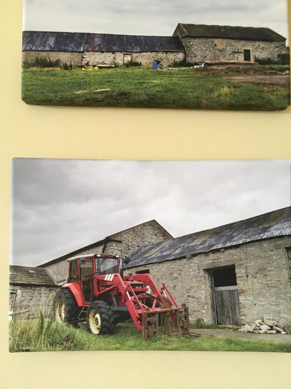 Curlew Barn Bed and Breakfast Leyburn Eksteriør billede