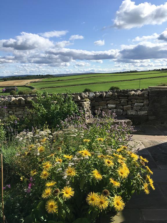 Curlew Barn Bed and Breakfast Leyburn Eksteriør billede